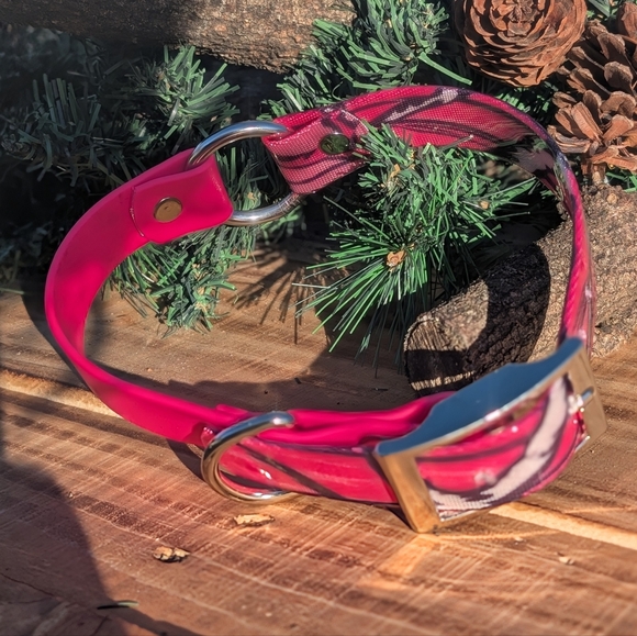 Biothane Dog Collar - Picture 1 of 1